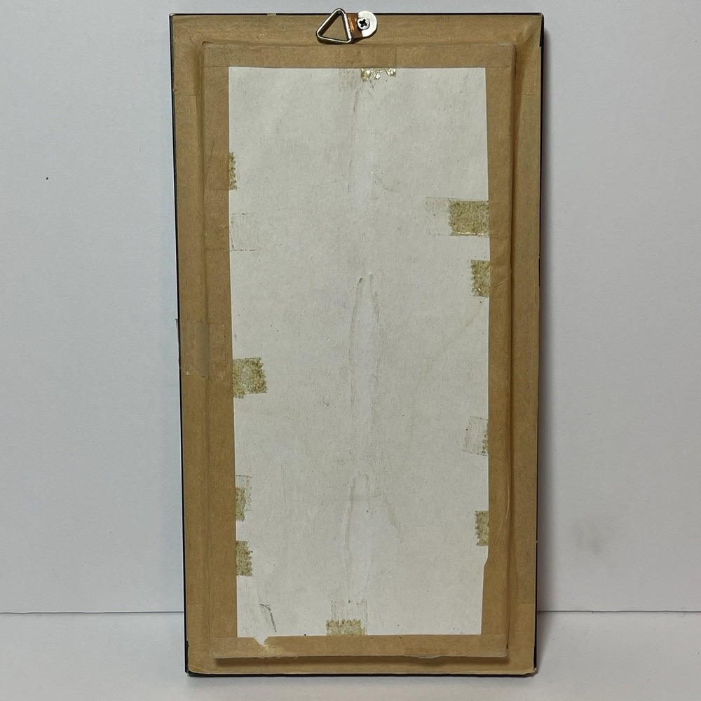 REAL LIFE: Framed Butterflies Specimens Common Tiger Cruiser Archduke 8" Vintage - Picture 12 of 12